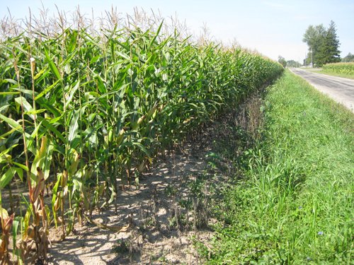 Property photo 9 - 40 Acres Offered in 3 Tracts